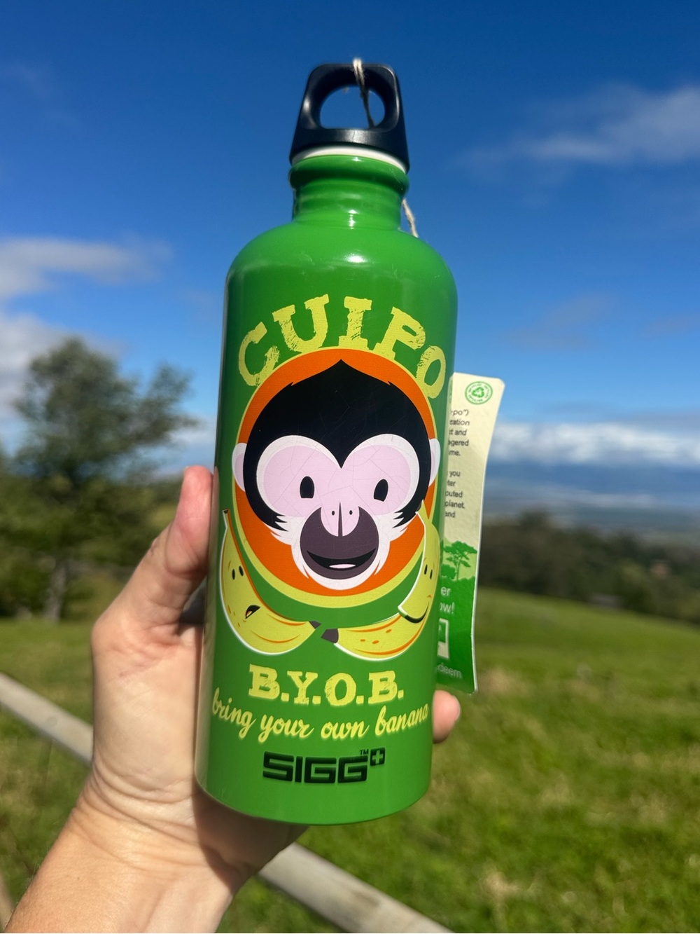 NWT SIGG Monkey B.Y.O.B Bannanas Aluminum metal Flask Water Bottle 0.6 LT
